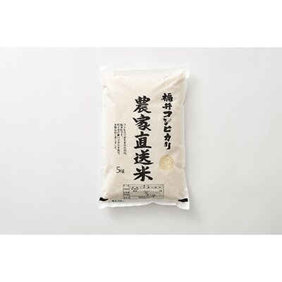 【毎月定期便】農家直送米福井こしひかり5kg全10回