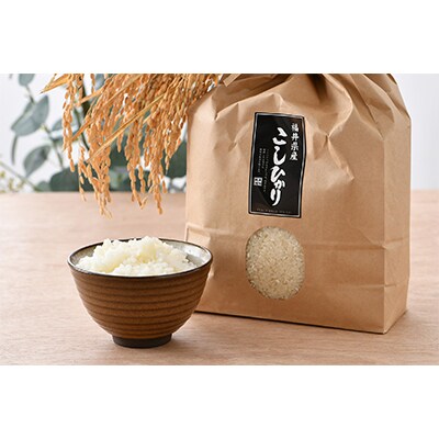 【毎月定期便】福井県産こしひかり3kg(紙袋入)全2回