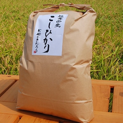 新米【令和4年産】福井県産コシヒカリ白米10kg