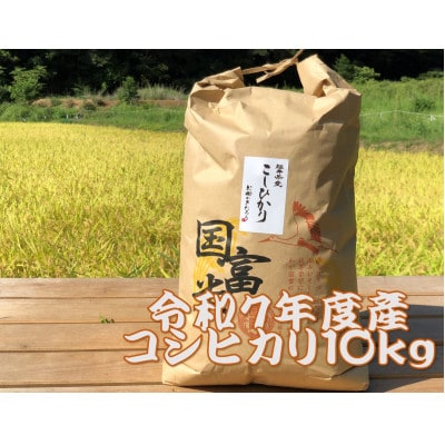 【新米】【令和7年産】福井県産コシヒカリ白米10kg