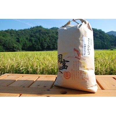 新米【令和4年産】福井県産コシヒカリ白米10kg