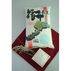 清流米10kg(コシヒカリ)令和5年産　福井県小浜市 | ふるさと納税のお礼品