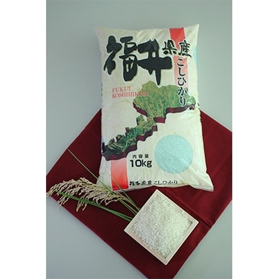新米 清流米10kg コシヒカリ 令和3年産 福井県小浜市 お礼品詳細 ふるさと納税なら さとふる 新米 清流米10kg コシヒカリ 令和3年産 福井県小浜市 お礼品詳細 ふるさと納税なら さとふる