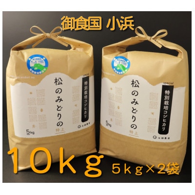 [送料込]農家直販　令和5年福井県産蕎麦(そば) 半俵22.5kg 送料込]農家直販 令和5年福井県産蕎麦(そば) 半俵22.5