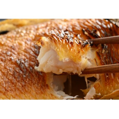 【2024年3月上旬発送】【加福鮮魚】若狭ぐじ　一汐開き