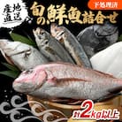 【加福鮮魚】「若狭小浜港産地直送」のお任せ天然鮮魚セット!