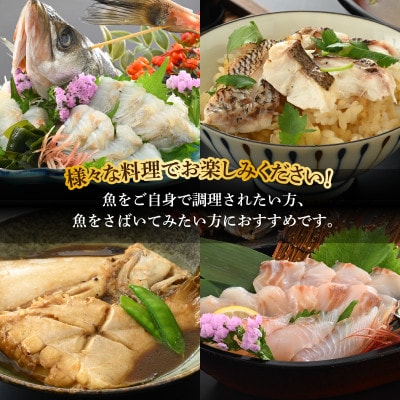 【加福鮮魚】「若狭小浜港産地直送」のお任せ天然鮮魚セット!