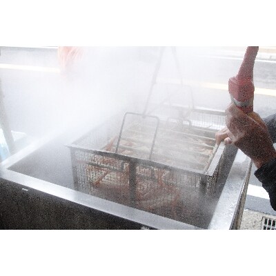 【2023年2月下旬発送】【加福鮮魚】「若狭小浜港産地直送」　越前ガニ(ズワイガニ)ボイル1杯