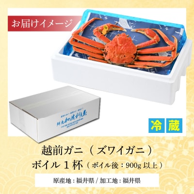 【加福鮮魚】「若狭小浜港産地直送」　越前ガニ(ズワイガニ)ボイル1杯