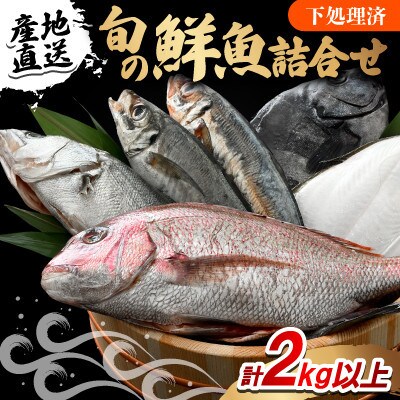 【のし付き】加福鮮魚「若狭小浜港産地直送」のお任せ天然鮮魚セット!