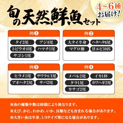 【のし付き】加福鮮魚「若狭小浜港産地直送」のお任せ天然鮮魚セット!