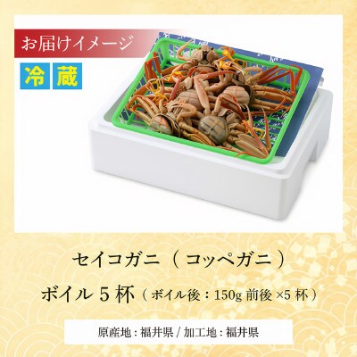 【先行予約】産地直送/セイコガニ(コッペガニ)ボイル5杯　若狭小浜港・セイコガニ【加福鮮魚】