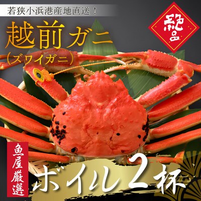 【先行予約】(産地直送)　越前ガニ ボイル 2杯|若狭小浜港・国産ズワイガニ【加福鮮魚】