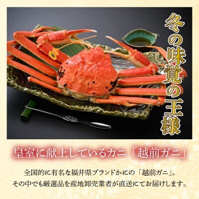 【先行予約】(産地直送)　越前ガニ ボイル 2杯|若狭小浜港・国産ズワイガニ【加福鮮魚】