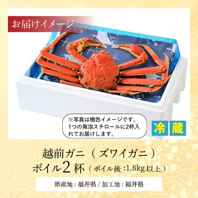 【先行予約】(産地直送)　越前ガニ ボイル 2杯|若狭小浜港・国産ズワイガニ【加福鮮魚】