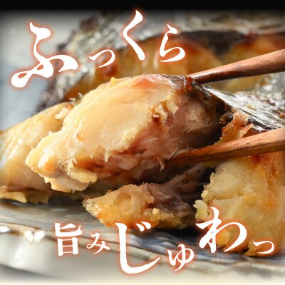 【2ヵ月毎定期便】塩干し、醤油干し、味噌漬けされた干物詰め合わせ全6回