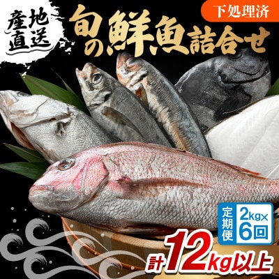 【2ヵ月毎定期便】「若狭小浜港産地直送」のお任せ天然鮮魚セット! 全6回