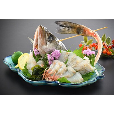 【2ヵ月毎定期便】「若狭小浜港産地直送」のお任せ天然鮮魚セット! 全6回