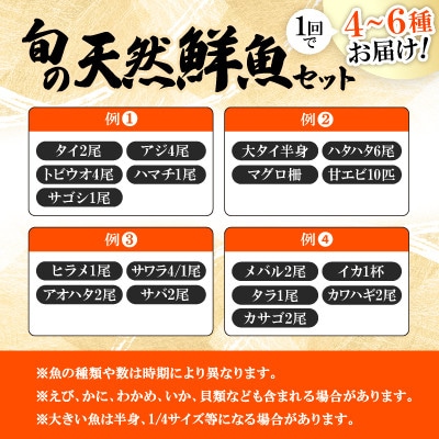 【毎月定期便】「若狭小浜港産地直送」のお任せ天然鮮魚セット! 全12回