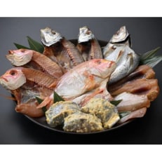 2023年11月発送開始『定期便』塩干し、醤油干し、味噌漬けされた干物詰め合わせ 全12回