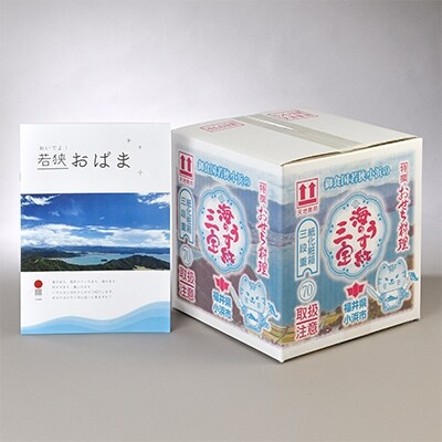 <2022新春>小浜市三段重おせち『御食国若狭小浜の海のうす紅三宝』(4~5人前)【さとふる限定】