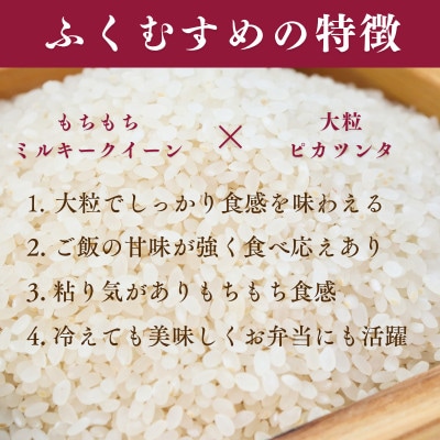【令和7年産】福井県産ふくむすめ　特別栽培米　精米10kg　11月以降発送　今富の宝