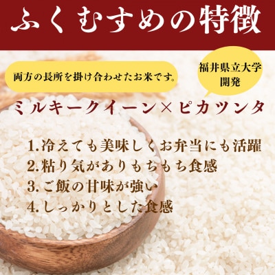 【令和8年産】福井県産ふくむすめ　特別栽培米　精米10kg　11月以降発送　今富の宝