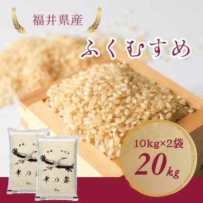 【令和7年産】福井県産ふくむすめ　特別栽培米　玄米20kg(10kg×2袋)11月以降発送　今富の宝