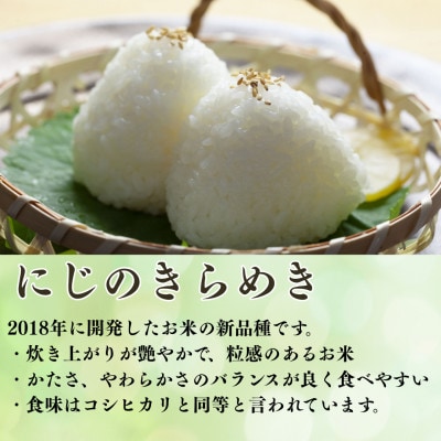 【令和8年産】新米　福井県産にじのきらめき　精米10kg　今富の宝