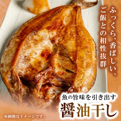 レビューキャンペーン中!若狭の味 干物詰合せ(松)