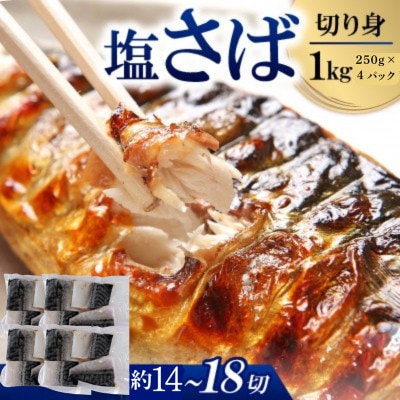 サバ切身　1kg(250g×4パック)約14～18切れ