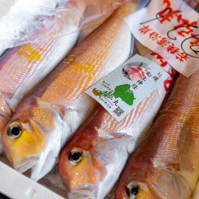 若狭グジの一塩仕立て 500g×2尾