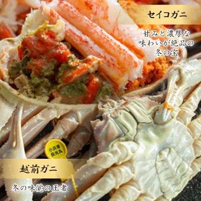 【さとふる限定】越前ガニ800g×2杯とセイコガニ(ズワイガニのメス)5杯。期間限定のセット商品です