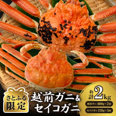 【さとふる限定】越前ガニ600g×2杯とセイコガニ(ズワイガニのメス)5杯。期間限定のセット商品です