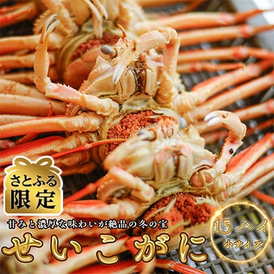 さとふる限定【小サイズ】 セイコガニ(ズワイガニのメス)15ハイ | 福井県小浜市 | ふるさと納税サイト「さとふる」