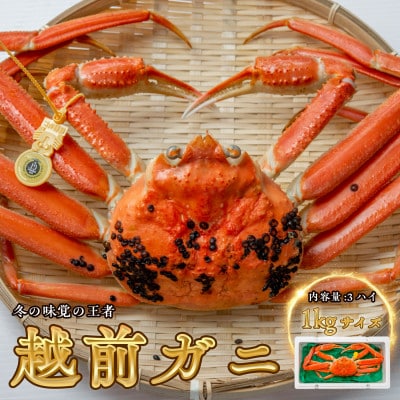 【年明け以降順次発送】越前がに (ズワイガニ)1kg×3杯