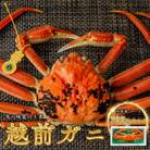 【年末配送】越前がに (ズワイガニ)700g×1杯