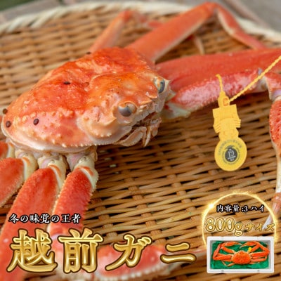【年末配送】越前がに (ズワイガニ)800g×3杯