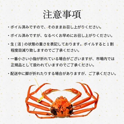 【年末配送】越前がに (ズワイガニ)800g×3杯
