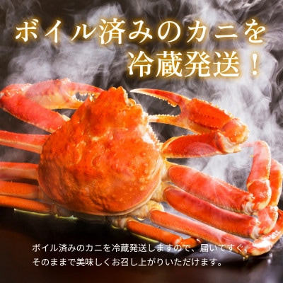【年末配送】越前がに (ズワイガニ)600g×2杯