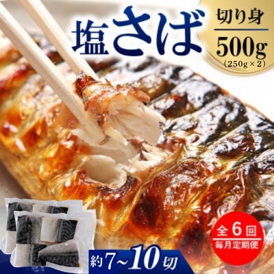【毎月定期便】塩サバ切身　500g(約7～10切)全6回