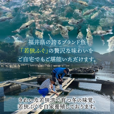 若狭ふぐ てっさと鍋の Aセットプラス 3～4人前