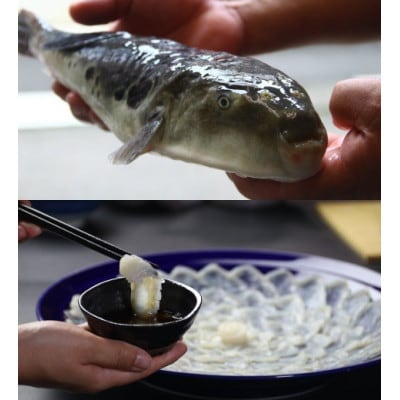 ふぐ料理の宿さいば　若狭ふぐフルコース&旬の舟盛りプラン　ペア宿泊券
