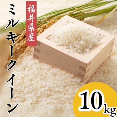 令和7年産新米　福井県産ミルキークイーン　白米10kg
