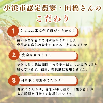 令和8年産【新米】　福井県産ミルキークイーン　白米10kg