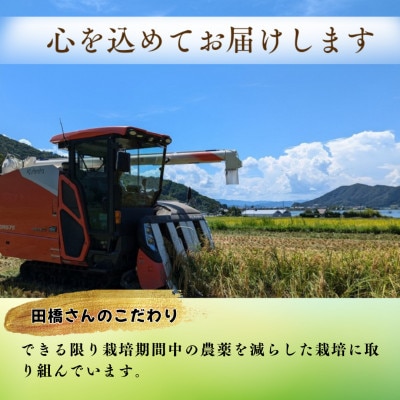 令和8年産【新米】　福井県産ミルキークイーン　白米10kg
