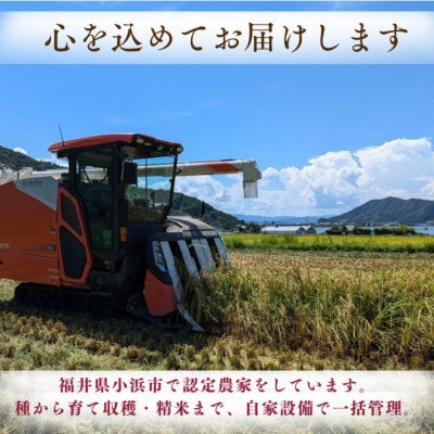 令和8年産【新米】　福井県産ミルキークイーン　白米10kg