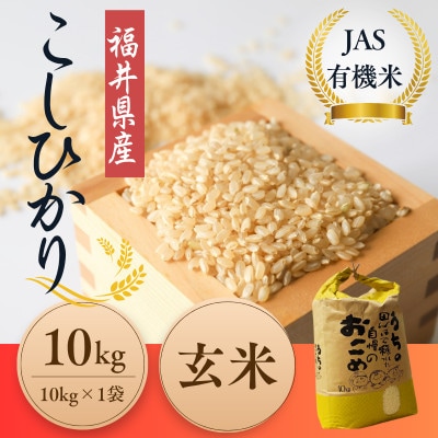 福井県産こしひかり　JAS有機米　玄米　10kg　
