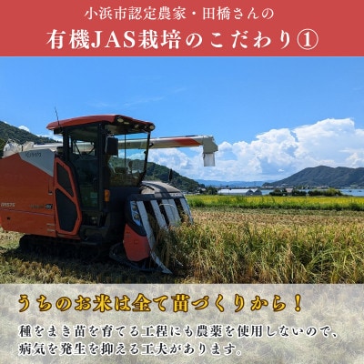 福井県産こしひかり　JAS有機米　玄米　10kg　