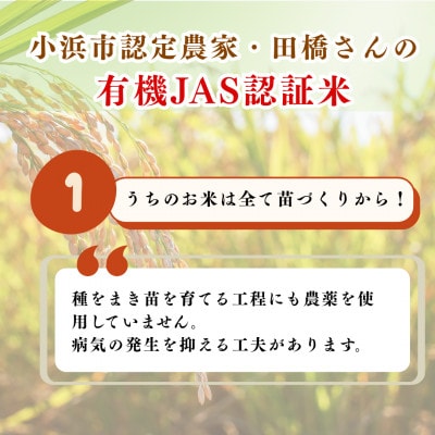 令和8年産【新米】福井県産こしひかり　JAS有機米　玄米　10kg
